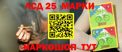 гидра Краснокаменск