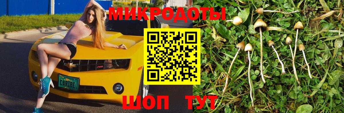 Псилоцибиновые грибы мицелий Еманжелинск